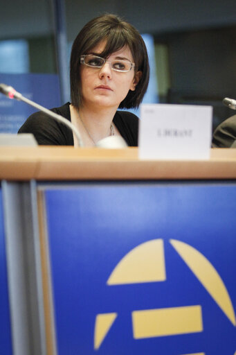 Zdjęcie 8: European Ombudsman - Citizens' event 2013 : It's your Europe - Citizens in action