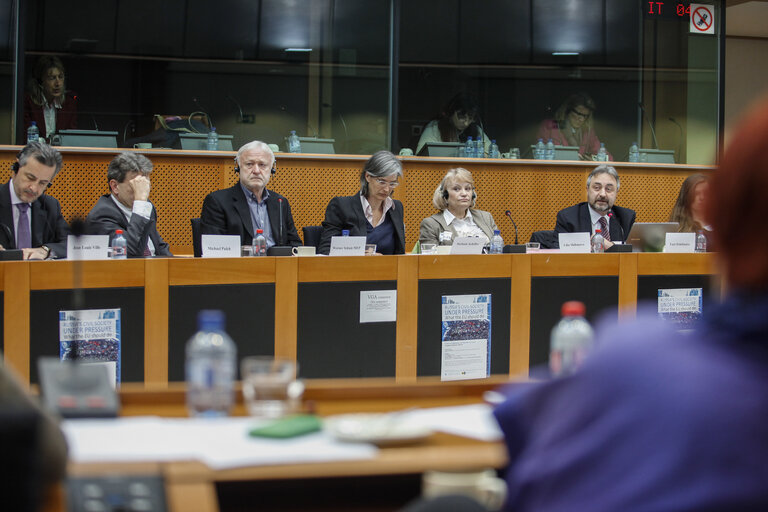 Foto 3: Meeting: Russia's Civil Society under pressure - what the EU should do