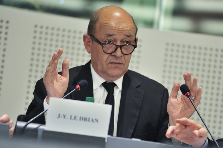 Photo 5 : SEDE committee meeting  Exchange of views with   Jean-Yves LE DRIAN, minister of defence of France