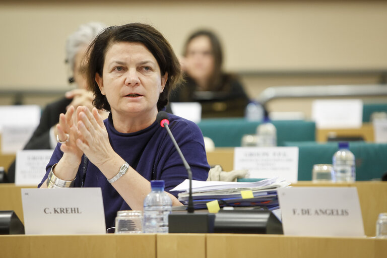 Fotografija 7: REGI - Hearing on Smart Specialisation; Committee debate on cohesion legislation