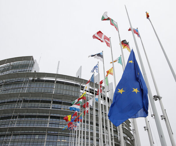 Fotografia 46: Festival of Europe Open day 2013 in Strasbourg