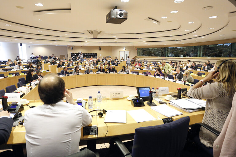 Fotografija 7: Vote of the mid-term report of the CRIM committee