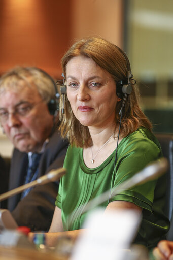 Fotografija 9: JURI Hearing on the Reform of the Court of Justice of the European Union