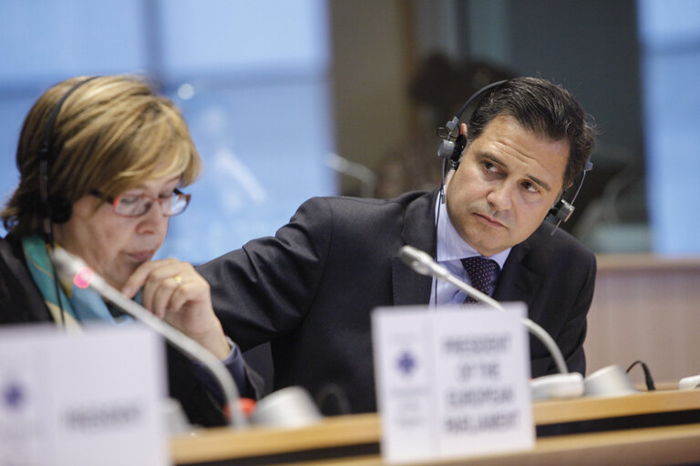 Foto 2: Plenary session of the Committee of the Regions