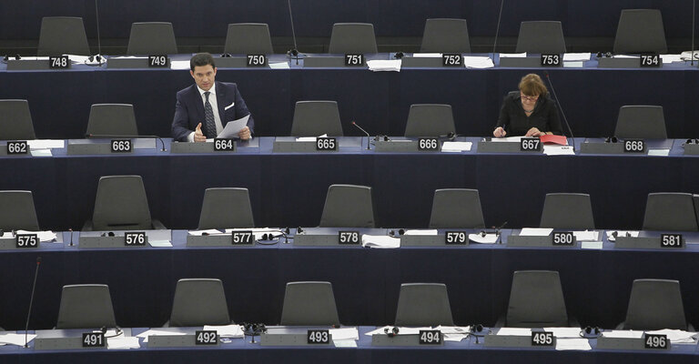 Nuotrauka 10: Petru Constantin LUHAN during plenary session week 16 2013 in Strasbourg