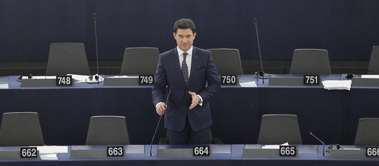 Nuotrauka 1: Petru Constantin LUHAN during plenary session week 16 2013 in Strasbourg