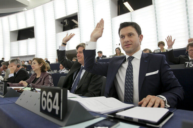 Nuotrauka 7: Petru Constantin LUHAN during plenary session week 16 2013 in Strasbourg