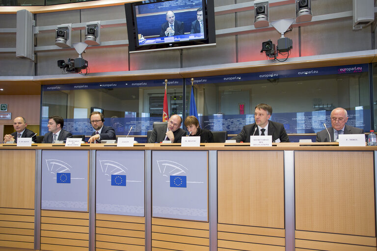 Photo 8: 7th EP-Serbia interparliamentary meeting