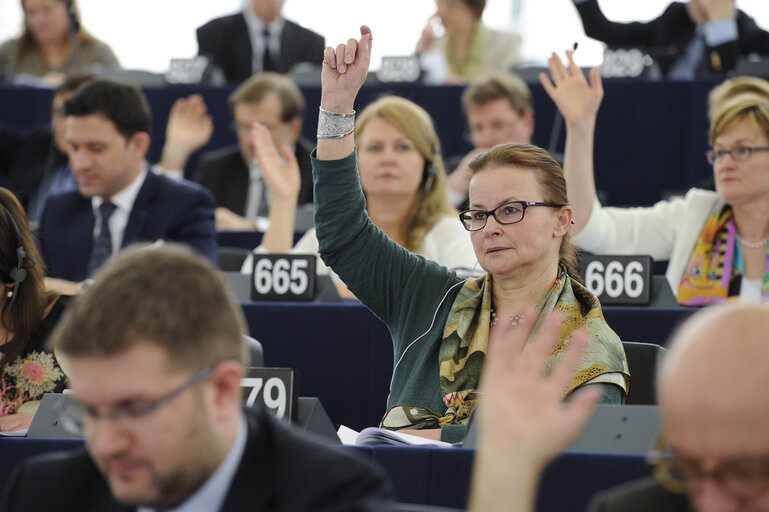 Fotografia 1: Danuta JAZLOWIECKA in plenary session week 16 2013 in Strasbourg