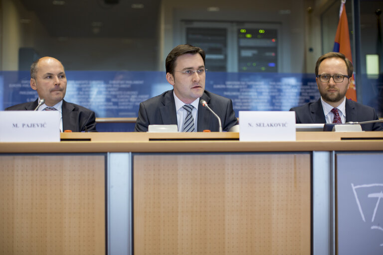 Fotografie 14: 7th EP-Serbia interparliamentary meeting