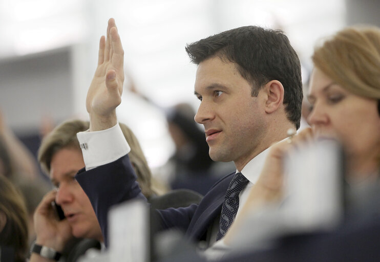 Nuotrauka 18: Petru Constantin LUHAN during plenary session week 16 2013 in Strasbourg