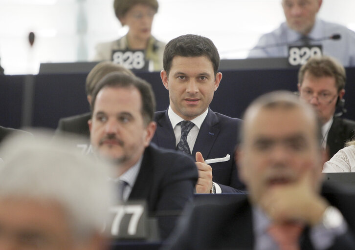 Nuotrauka 15: Petru Constantin LUHAN during plenary session week 16 2013 in Strasbourg