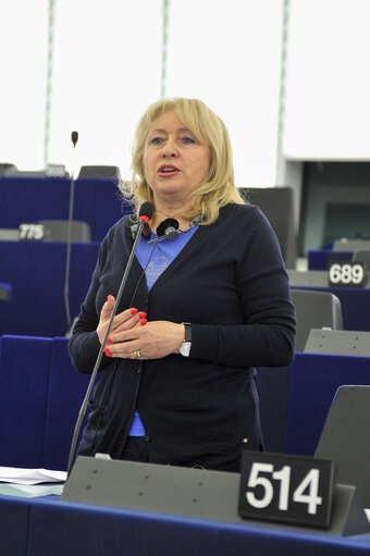 Fotografia 4: Plenary session week 16  2013 in Strasbourg - Timing of auctions of greenhouse gas allowances