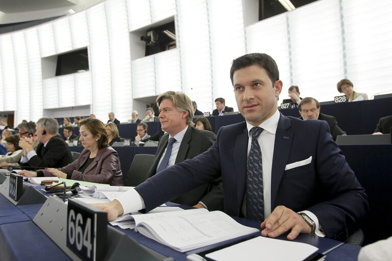 Nuotrauka 8: Petru Constantin LUHAN during plenary session week 16 2013 in Strasbourg