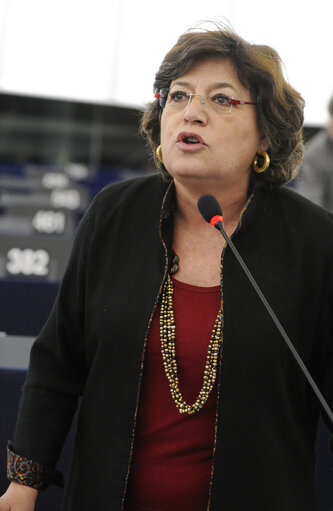 Fotografia 10: Plenary Session week 11 2013 in Strasbourg - Preparations for the European Council meeting