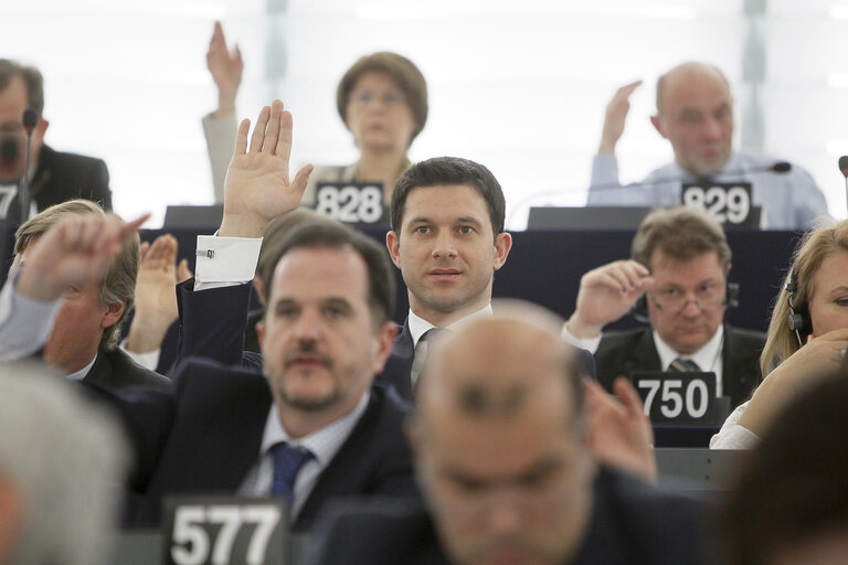 Nuotrauka 16: Petru Constantin LUHAN during plenary session week 16 2013 in Strasbourg