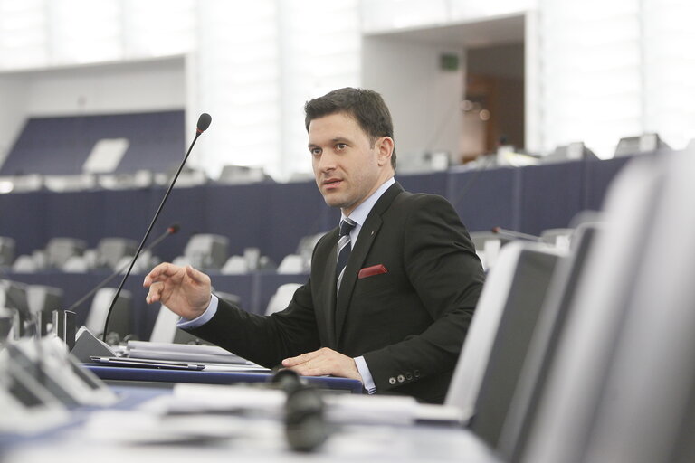 Foto 7: Petru Constantin LUHAN in the hemicycle in Strasbourg