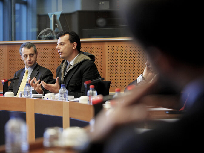 Billede 11: Meeting with MEPs