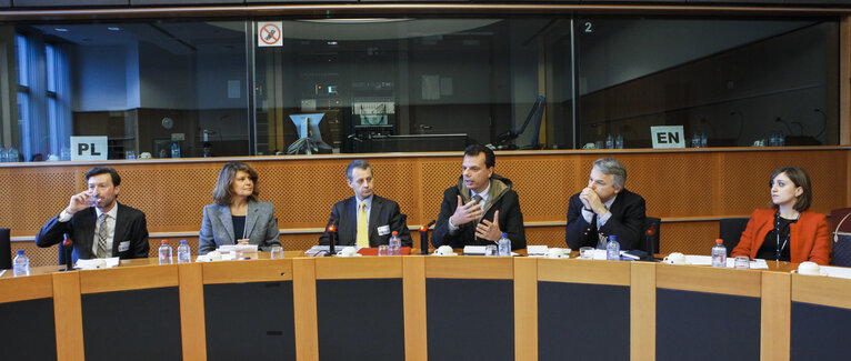 Billede 12: Meeting with MEPs