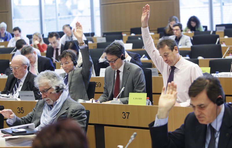 Fotografia 12: Committee on Budgetary Control - Discharge vote