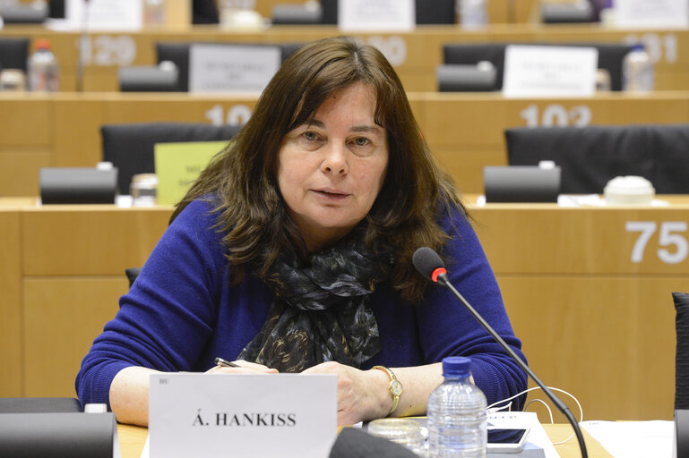 LIBE committee meeting - The situation of fundamental rights: standards and practices in Hungary