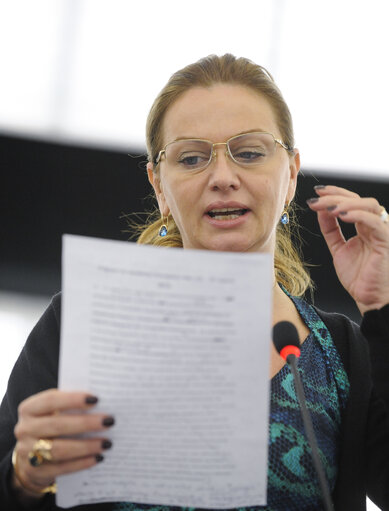 Fotografia 11: Plenary Session week 11 2013 in Strasbourg - Preparations for the European Council meeting