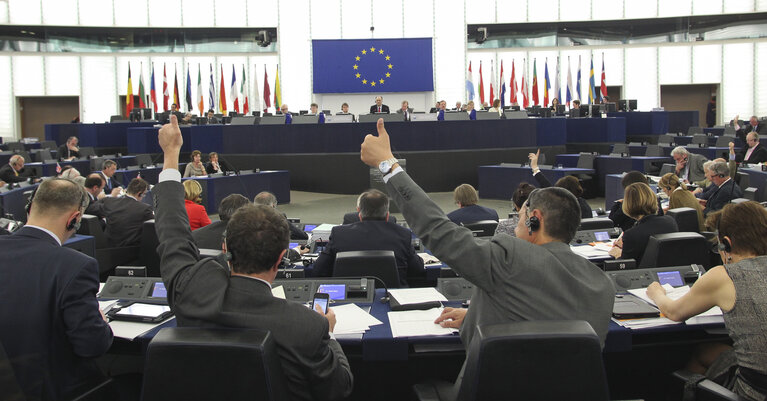 Fotografie 15: Plenary session week 16 - votes