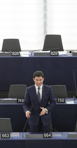 Nuotrauka 2: Petru Constantin LUHAN during plenary session week 16 2013 in Strasbourg