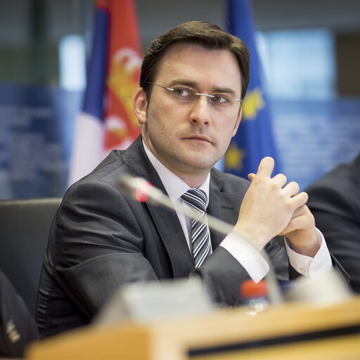 Fotografie 11: 7th EP-Serbia interparliamentary meeting