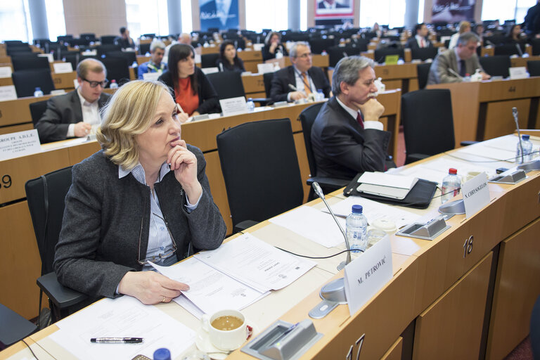 Fotografie 12: 7th EP-Serbia interparliamentary meeting