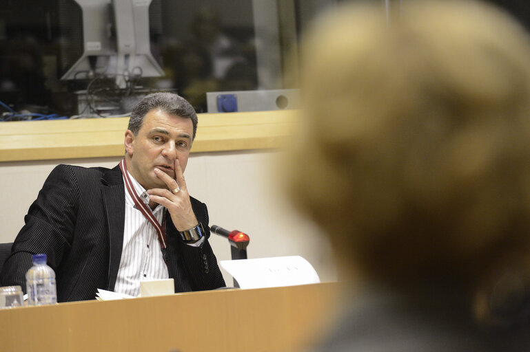 Fotografija 1: Hearing: Latvian republic after joining the European union