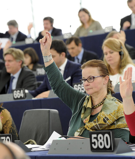 Fotografia 7: Danuta JAZLOWIECKA in plenary session week 16 2013 in Strasbourg