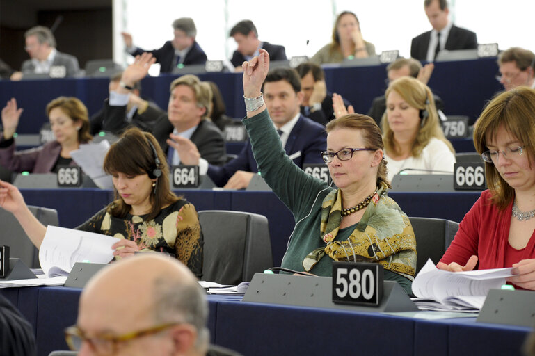 Fotografia 5: Danuta JAZLOWIECKA in plenary session week 16 2013 in Strasbourg