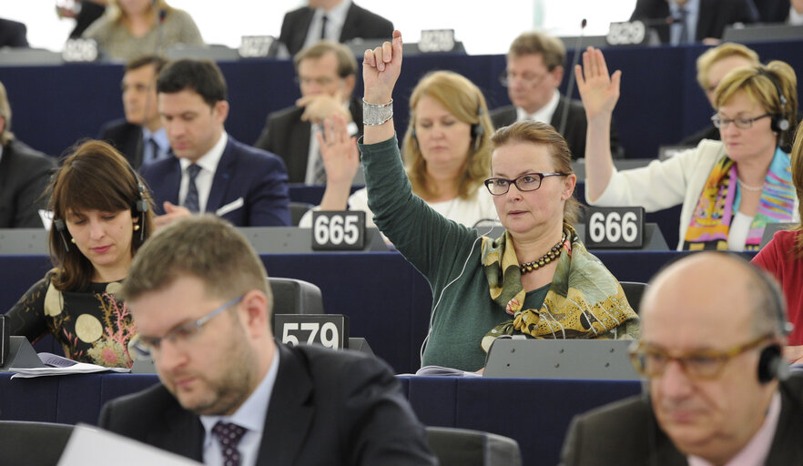 Fotografia 6: Danuta JAZLOWIECKA in plenary session week 16 2013 in Strasbourg