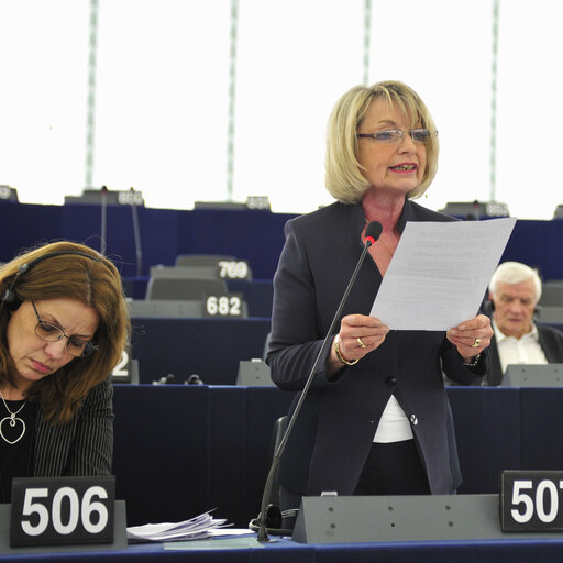 Fotografia 10: Plenary session week 16  2013 in Strasbourg - Timing of auctions of greenhouse gas allowances