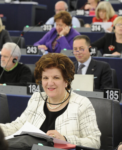 Antigoni PAPADOPOULOU in Plenary session week 11 2013