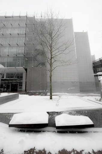 Fotogrāfija 14: Winter hits Brussels, with freezing temperatures and snow covering the EP buildings