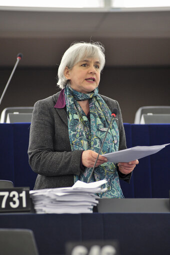 Fotó 29: Plenary session week 11 2013 in Strasbourg - Joint debate - Reform of the CAP (Rule 70a)