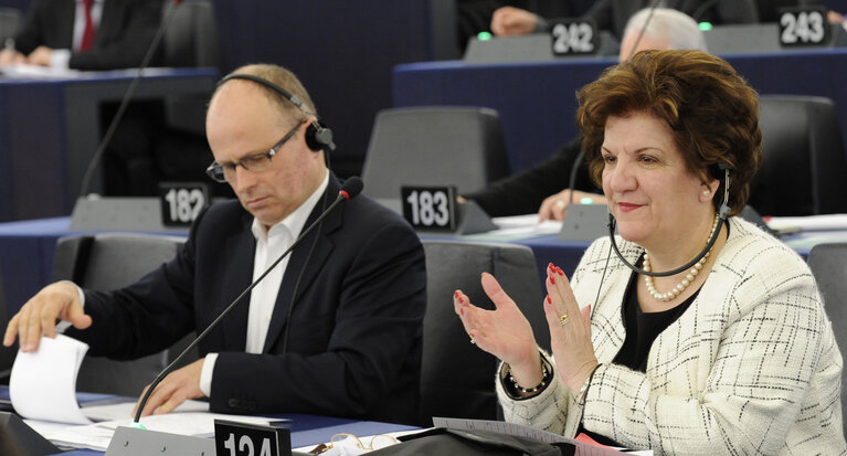 Antigoni PAPADOPOULOU in Plenary session week 11 2013