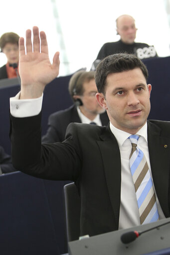 Fotografija 6: Petru Constantin LUHAN in Plenary session week 11 2013