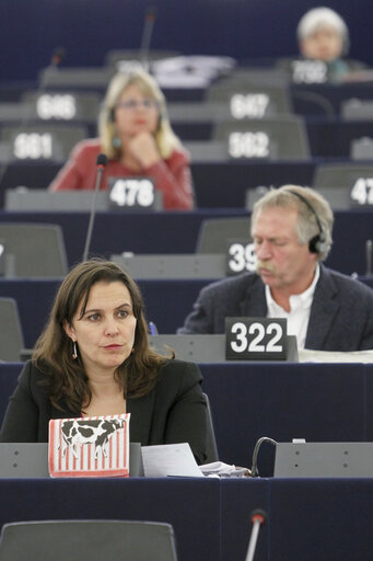 Foto 3: Ana MIRANDA takes part in the CAP reform debate in Strasbourg