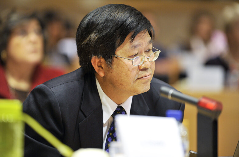 Foto 10: SEDE Public Hearing Military and Security Situation in the South China Sea