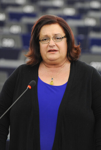 Fotografi 27: Plenary Session week 11 2013 in Strasbourg - Preparations for the European Council meeting