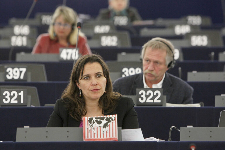Foto 5: Ana MIRANDA takes part in the CAP reform debate in Strasbourg