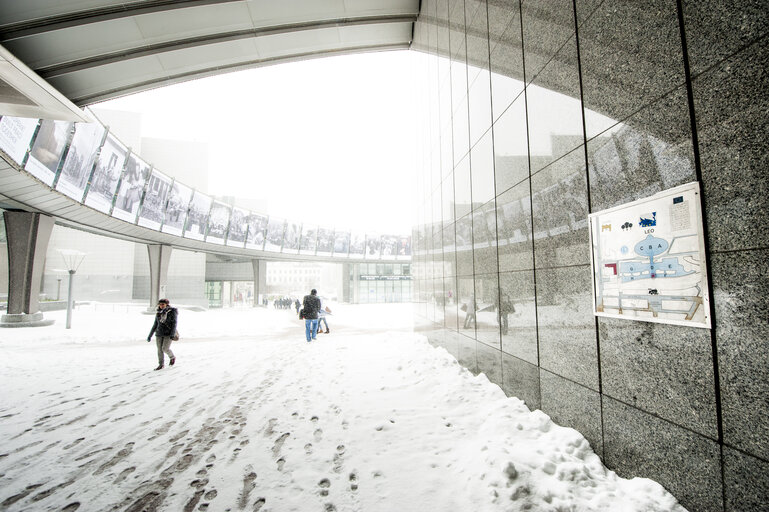 Fotogrāfija 17: Winter hits Brussels, with freezing temperatures and snow covering the EP buildings