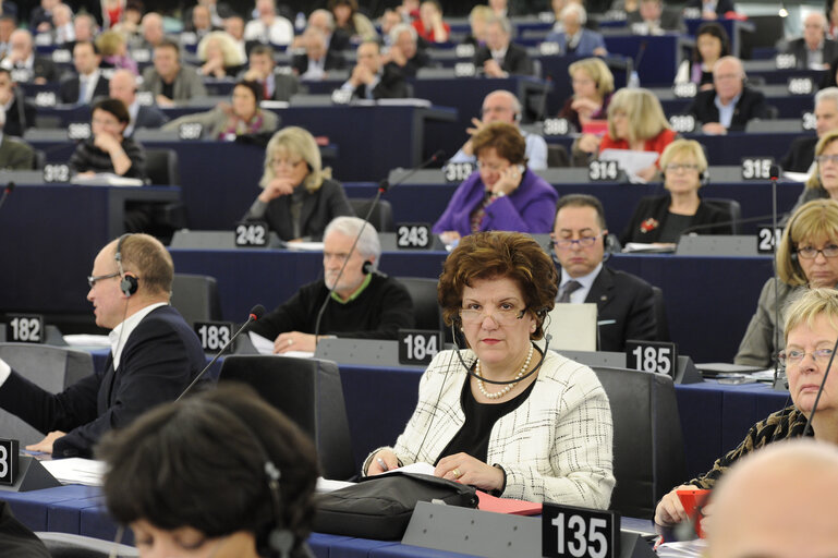 Antigoni PAPADOPOULOU in Plenary session week 11 2013