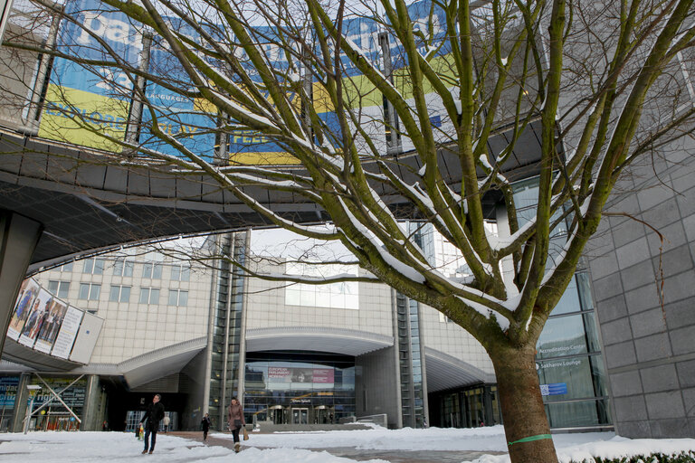 Fotogrāfija 6: Winter hits Brussels, with freezing temperatures and snow covering the EP buildings