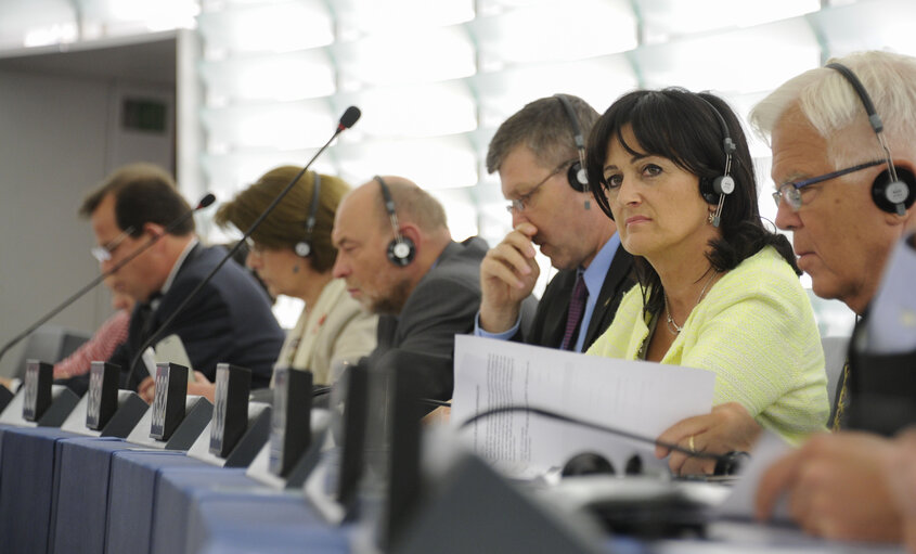 Foto 2: Plenary session week 21 2013