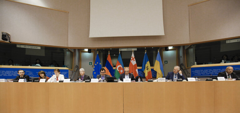 Billede 3: Second day of the 3rd Ordinary Session of the Euronest Parliamentary Assembly