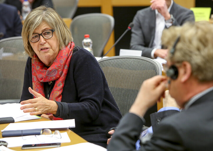 Fotografia 4: AFCO Committee meeting  ' The withdrawal of the United Kingdom from the European Union (Article 50 TEU) ' - Exchange of views on the state of play of the negotiations on Brexit, with the participation of the Parliament's coordinator for the negotiations on the UK withdrawal from the EU, and with a member of the Parliament's Brexit Steering Group